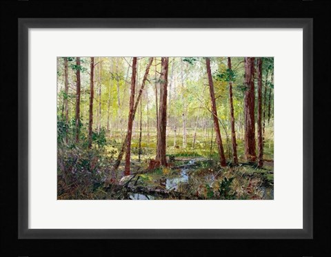 Framed Forest Edge Print