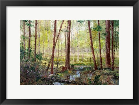 Framed Forest Edge Print