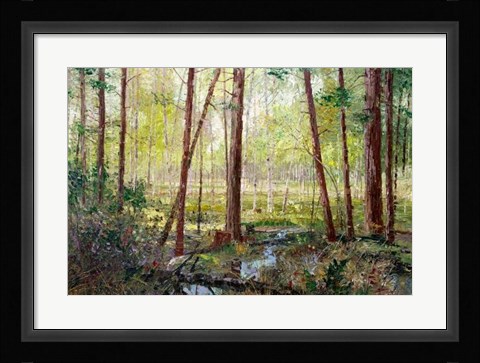 Framed Forest Edge Print