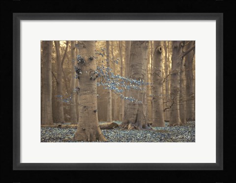 Framed Winter Blues Print