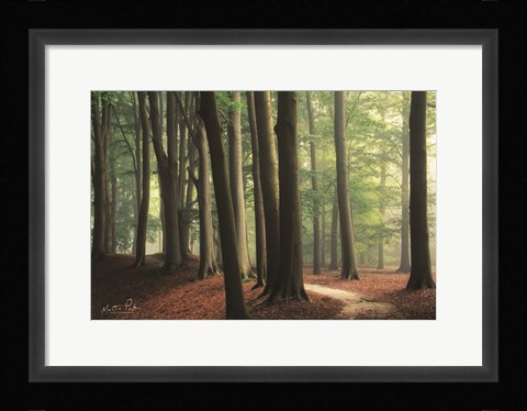 Framed In the Curve Print