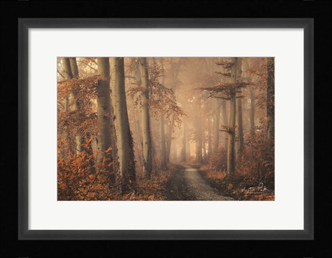 Framed Brown Beauty Print