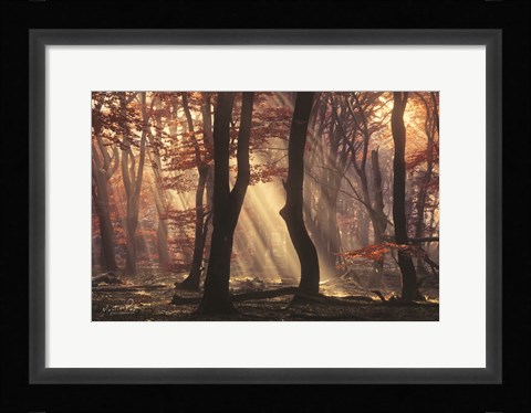 Framed It's Raining Sunrays Print