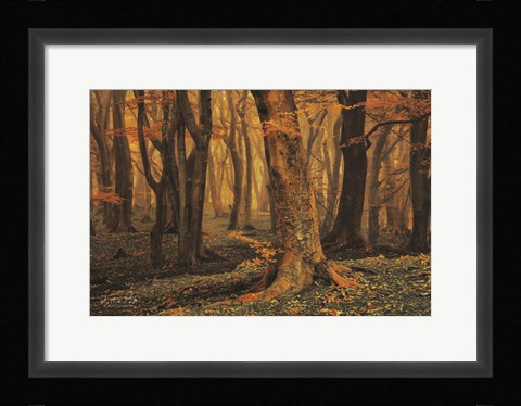 Framed Sweet Dreams Print