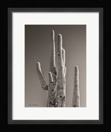 Framed Black &amp; White Cactus Print