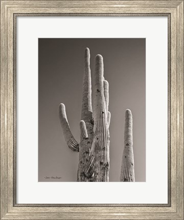 Framed Black &amp; White Cactus Print