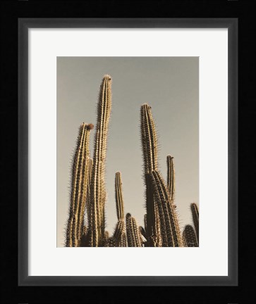 Framed Desert Cacti Print