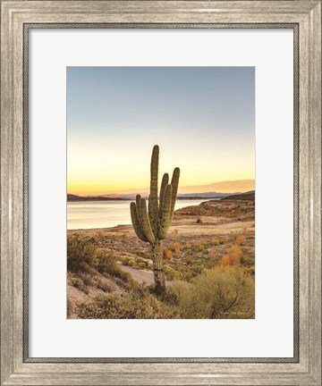 Framed Desert Cactus Sunset Print