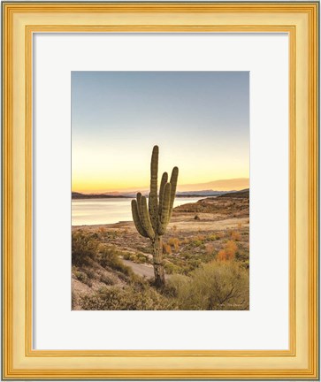 Framed Desert Cactus Sunset Print