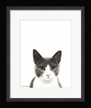 Framed Watercolor Cat Print