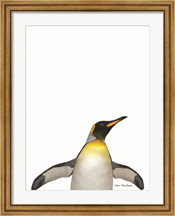 Framed Emperor Penguin Print