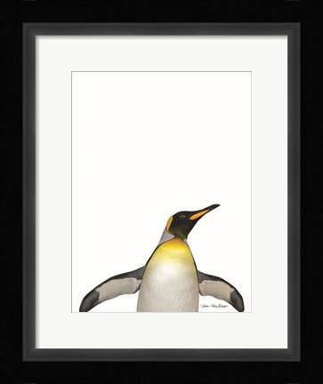 Framed Emperor Penguin Print