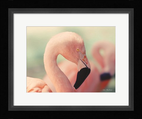 Framed Pink Flamingo Print
