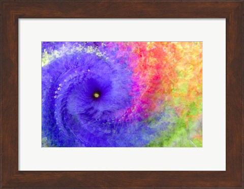 Framed Abstract Flowers in a Twirl Print