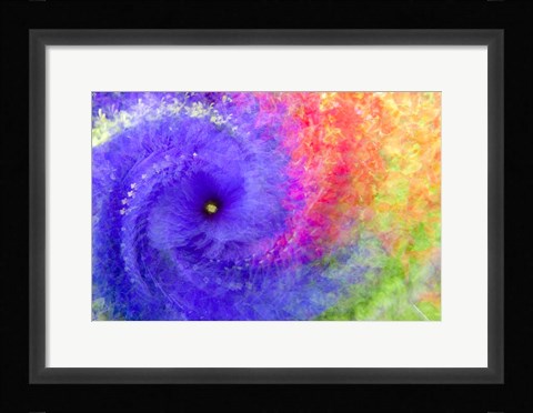 Framed Abstract Flowers in a Twirl Print