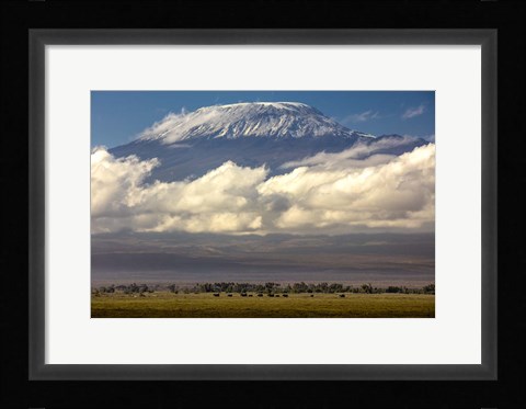 Framed Amboseli National Park, Kenya Print