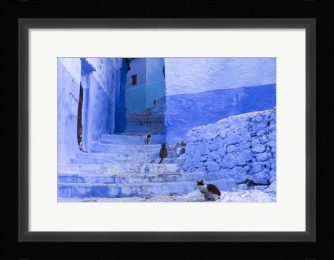 Framed Cats in an Alley, Chefchaouen, Morocco Print