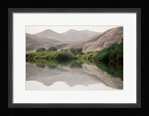 Framed Greenery Along the Banks of the Kunene River, Namibia Print