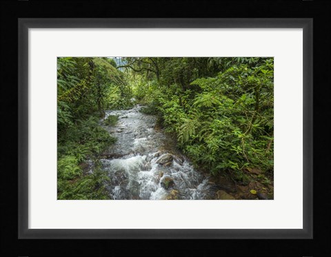 Framed Bwindi Impenetrable Fores,t Uganda Print