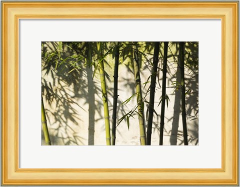 Framed Bamboo Casting Shadows, Suzhou, Jiangsu Province, China Print