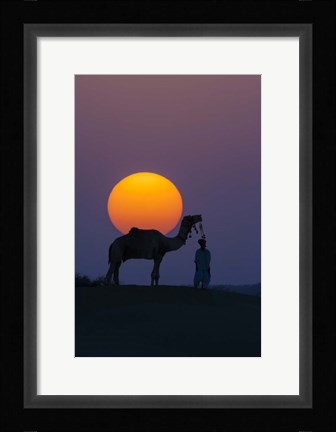 Framed Camel and Person at Sunset, Thar Desert, Rajasthan, India Print