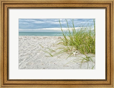 Framed Star Fish and Sea Oats Print