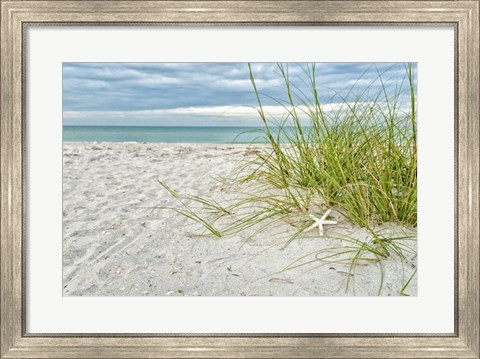 Framed Star Fish and Sea Oats Print