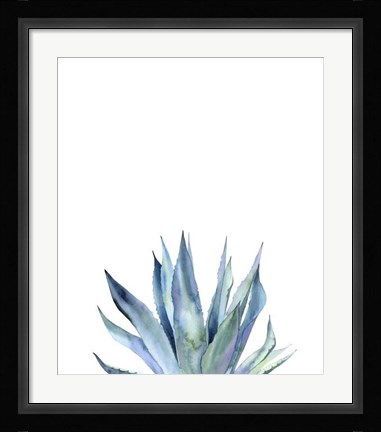 Framed Agave II Print