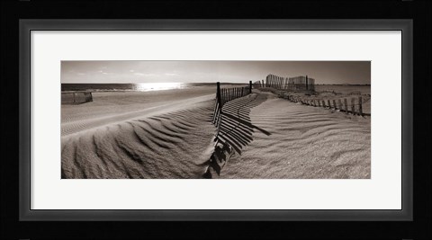 Framed Dune Walk Print