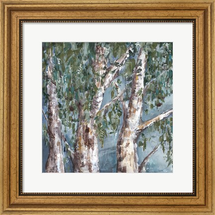 Framed Eucalyptus Trees Print