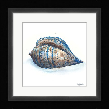 Framed Bohemian Shells II Print