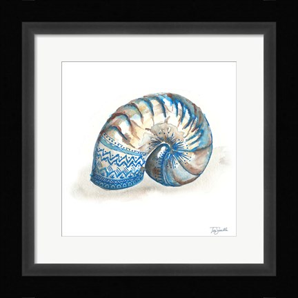 Framed Bohemian Shells IV Print