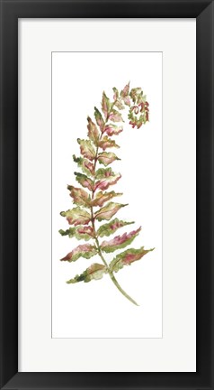 Framed Botanical Fern Single II Print