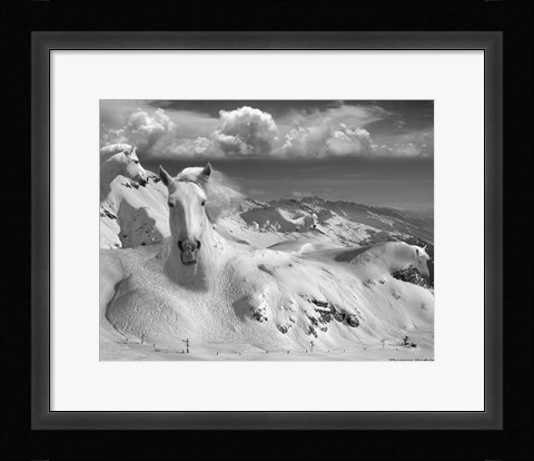 Framed Icy Studs Print