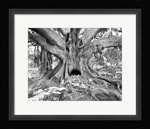 Framed Tourist Trap Print