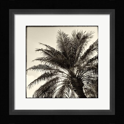Framed Palm Tree Sepia I Print
