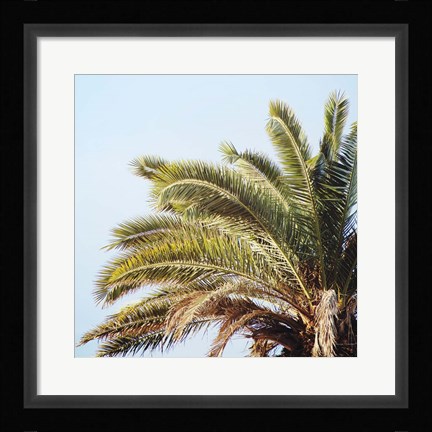 Framed Endless Summer I Crop Print