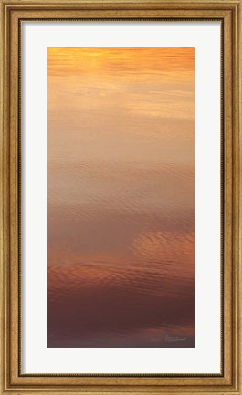 Framed Kalaloch Reflections III Print