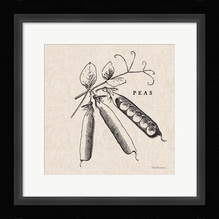 Framed Burlap Vegetable BW Sketch Peas Print