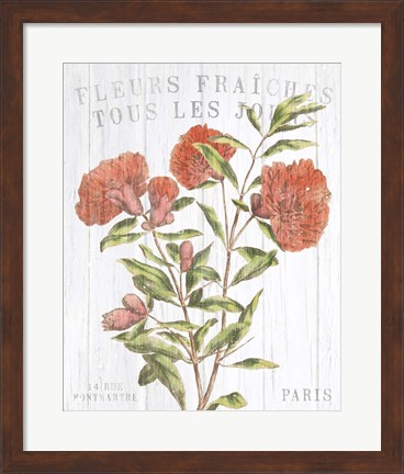 Framed Fleuriste Paris III Print