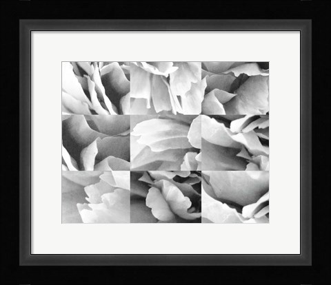 Framed Dreamy Peony Collage Print