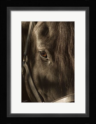 Framed Their Eyes are the Window to their Souls Print