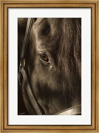 Framed Their Eyes are the Window to their Souls Print