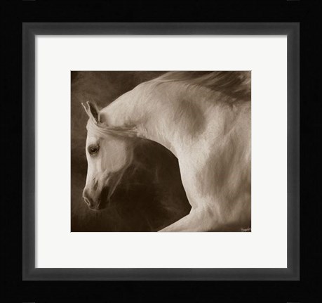 Framed Tag Impression Print