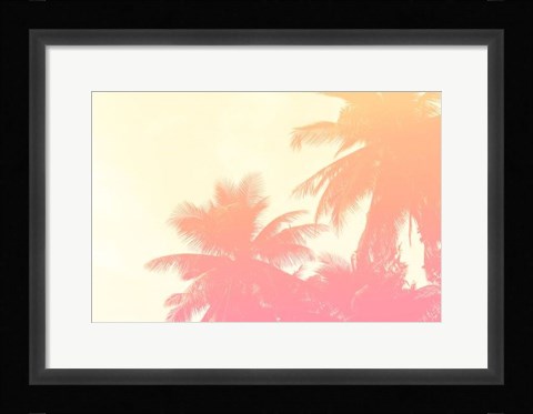 Framed Coconut Palm Trees Print