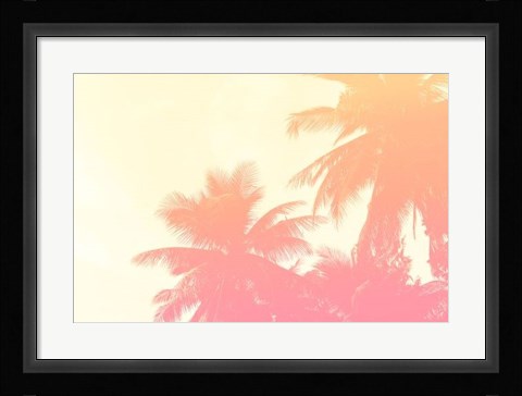 Framed Coconut Palm Trees Print