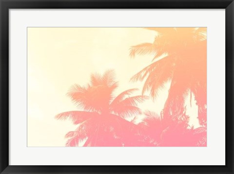 Framed Coconut Palm Trees Print