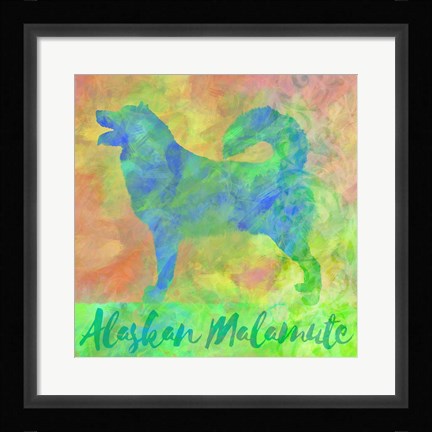 Framed Alaskan Malamute Print