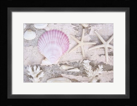Framed Beach Treasures IV Print