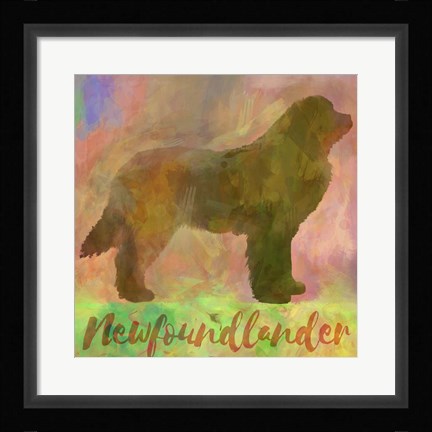 Framed Newfoundlander Dog Print